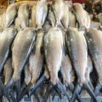 Bangus