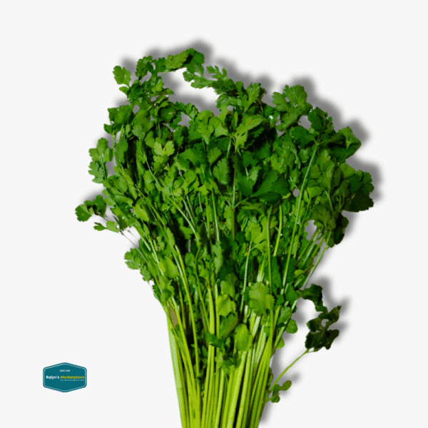 Wansoy - Coriander