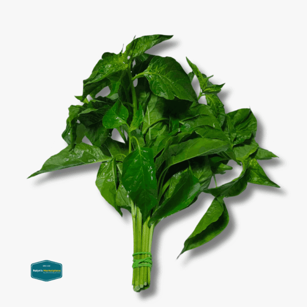 Dahon ng sili