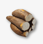 Kamote Kahoy (Cassava)