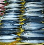 Galunggong S, M, L - Image 2