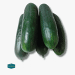 Pipino (Green Cucumber)