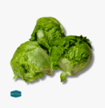 Iceberg Lettuce - Image 3