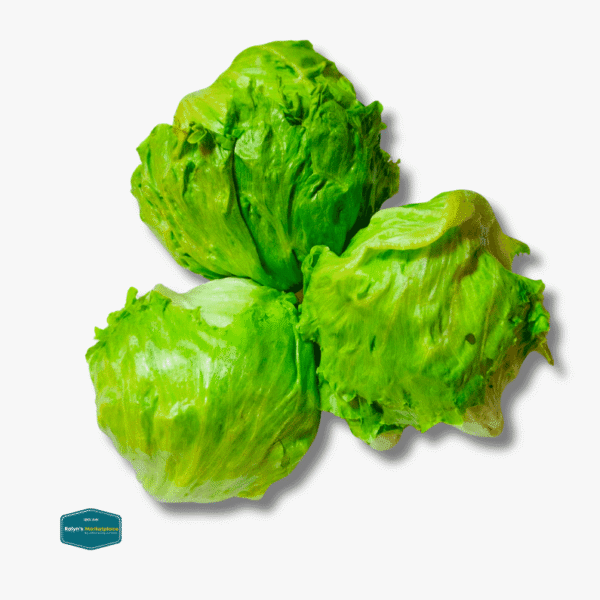 Iceberg Lettuce