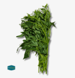 Talbos ng Kamote - Image 2