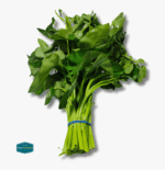 Kangkong