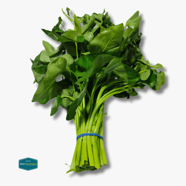 Kangkong