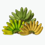 Banana Lacatan