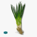 Leeks