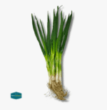 Leeks