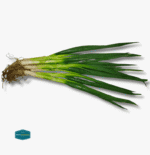 Leeks - Image 2
