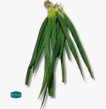 Leeks - Image 3