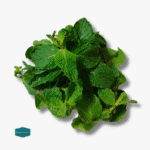 Mint Leaves