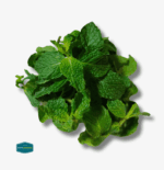 Mint Leaves