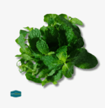 Mint Leaves - Image 2