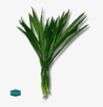 Pandan Leaves