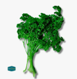 Parsley - Image 4