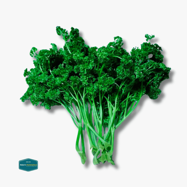 Parsley