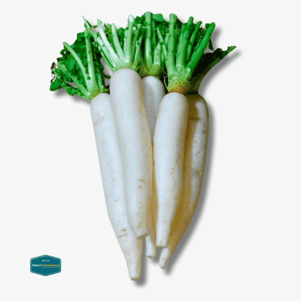 Labanos (Radish)