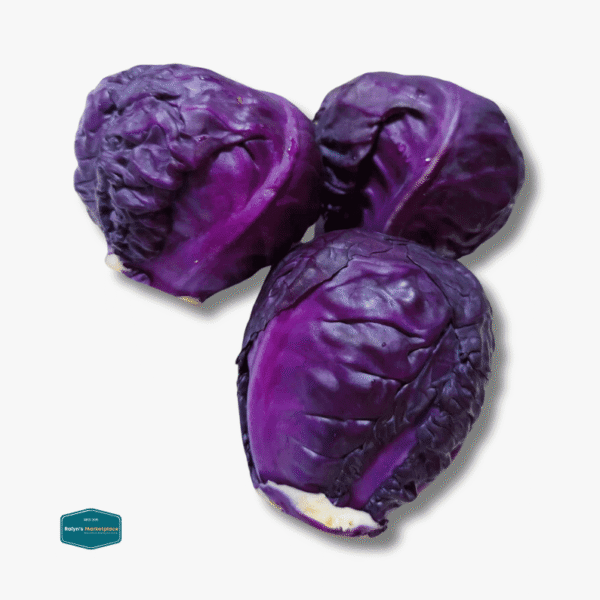 Red Cabbage