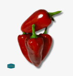 Bell Pepper Red - Image 2