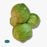 Repolyo (Cabbage)