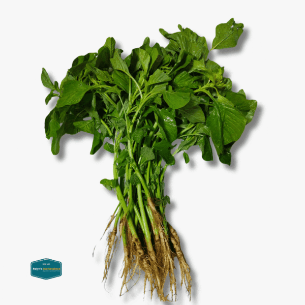 Spinach