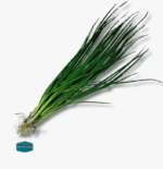 Spring Onion - Image 4