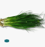 Spring Onion - Image 3