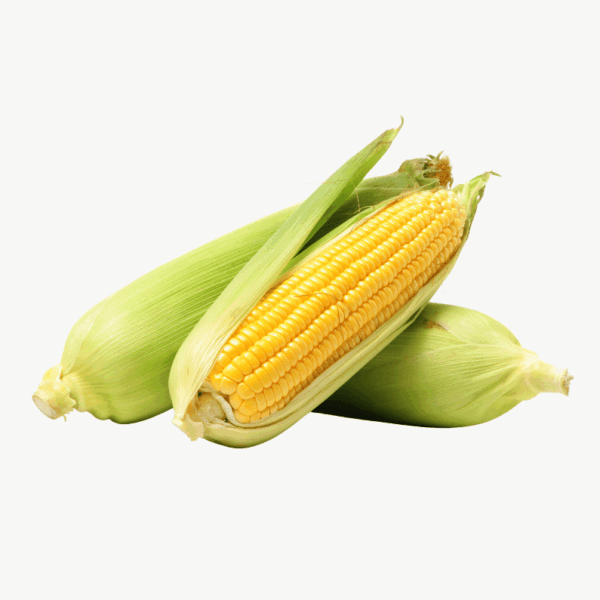 Sweet Corn
