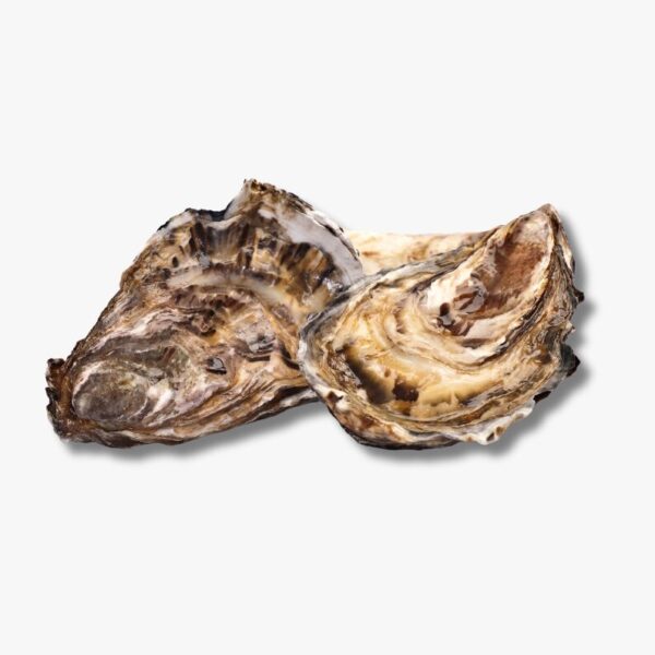 Talaba (Oyster Meat with Shell)
