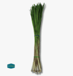Tanglad (Lemon Grass) - Image 2