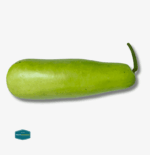 Upo (Bottle Gourd) - Image 2