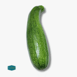 Zucchini