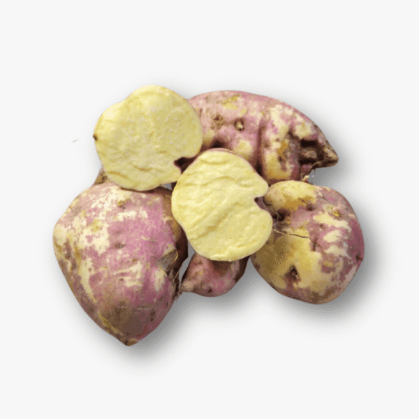 Sweet Potato White