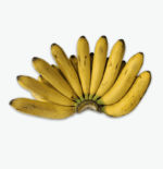 Banana Lacatan - Image 3