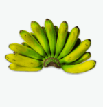 Banana Lacatan - Image 4