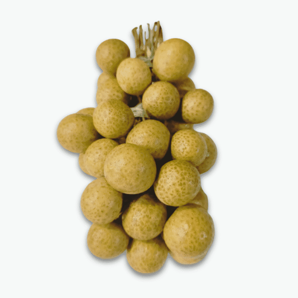 Longan