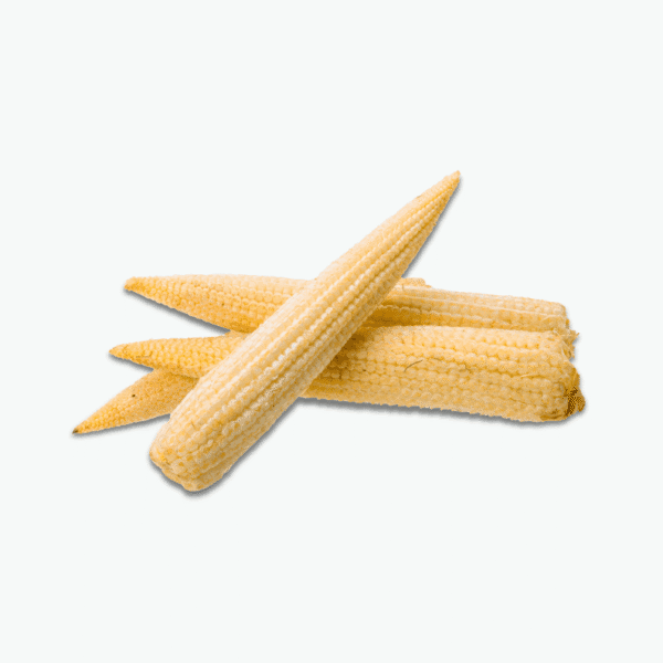 Young Corn