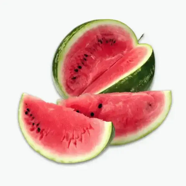 Watermelon seed on