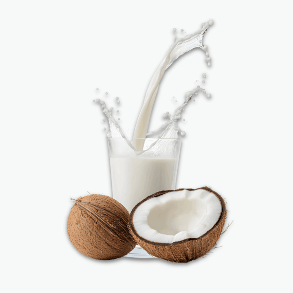 Pure Coconut Milk (Gata Puro)