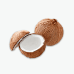 Whole Coconut / Buong Niyog